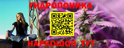 тгк Гусь-Хрустальный